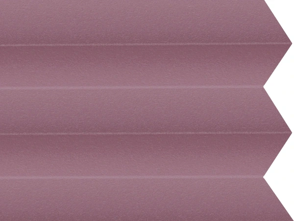 BO 11243 - Fuchsia